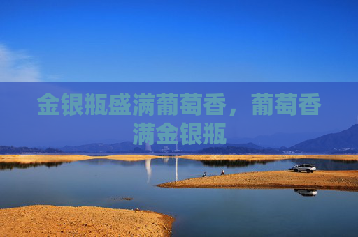 金银瓶盛满葡萄香，葡萄香满金银瓶