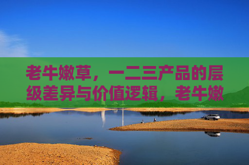 老牛嫩草，一二三产品的层级差异与价值逻辑，老牛嫩草，一二三产品的层级差异与价值逻辑