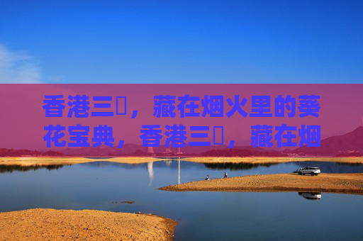香港三㚫，藏在烟火里的葵花宝典，香港三㚫，藏在烟火里的葵花宝典