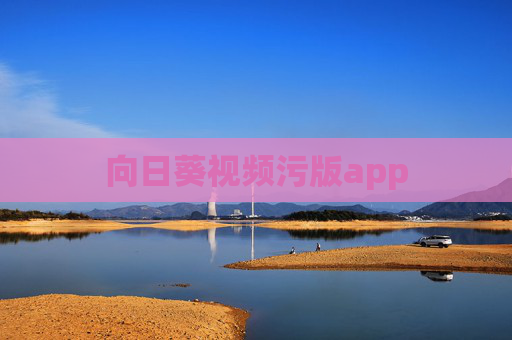 向日葵视频污版app