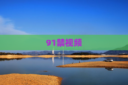 91禁视频
