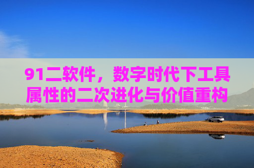 91二软件，数字时代下工具属性的二次进化与价值重构，91二软件，数字时代下工具属性的二次进化与价值重构