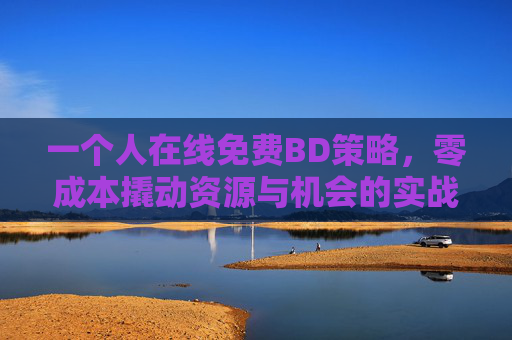 一个人在线免费BD策略，零成本撬动资源与机会的实战指南，个人在线免费BD实战指南，零成本撬动资源与机会