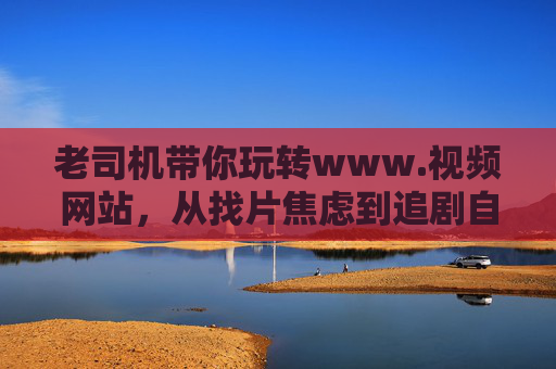 老司机带你玩转www.视频网站，从找片焦虑到追剧自由的通关秘籍，从找片焦虑到追剧自由，老司机视频网站通关秘籍
