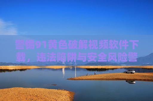 警惕91黄色破解视频软件下载，违法陷阱与安全风险警示，警惕91黄色破解视频软件下载，违法陷阱与安全风险警示