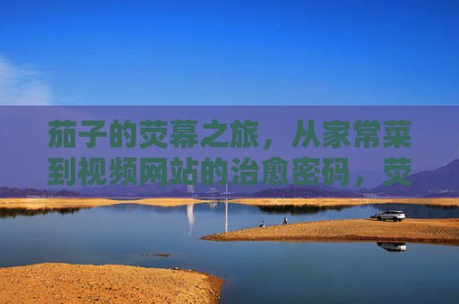 茄子的荧幕之旅，从家常菜到视频网站的治愈密码，荧幕茄香，从家常菜到治愈密码