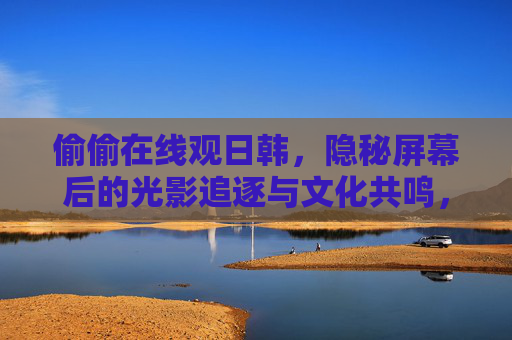 偷偷在线观日韩，隐秘屏幕后的光影追逐与文化共鸣，隐秘屏幕下的光影流转与文化共鸣