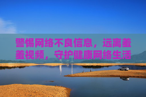 警惕网络不良信息，远离羞羞视频，守护健康网络生活，警惕网络不良信息，远离低俗视频，守护健康网络生活
