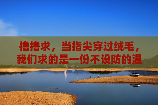 撸撸求，当指尖穿过绒毛，我们求的是一份不设防的温柔，指尖穿过绒毛，求一份不设防的温柔