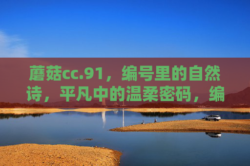 蘑菇cc.91，编号里的自然诗，平凡中的温柔密码，编号里的自然诗，蘑菇cc.91的温柔密码