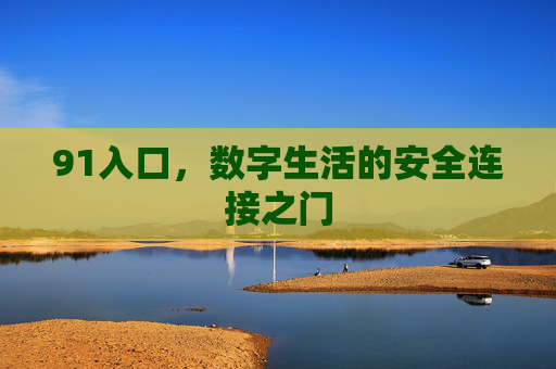 91入口，数字生活的安全连接之门
