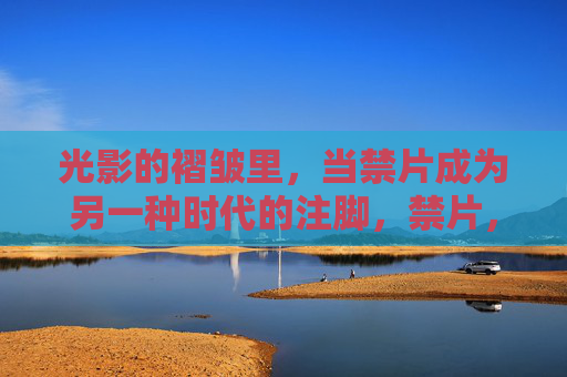 光影的褶皱里，当禁片成为另一种时代的注脚，禁片，光影褶皱里的时代注脚