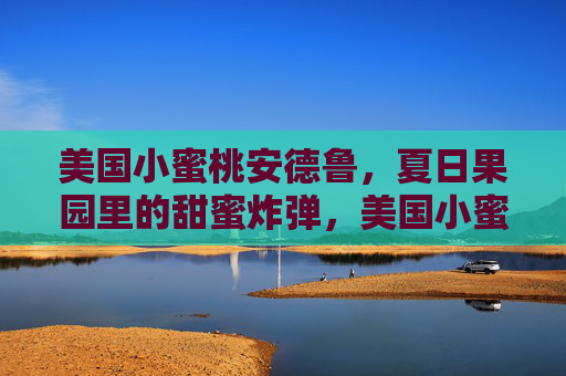 美国小蜜桃安德鲁，夏日果园里的甜蜜炸弹，美国小蜜桃安德鲁，夏日果园的甜蜜炸弹