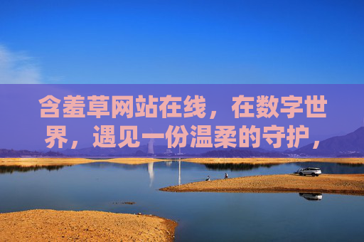 含羞草网站在线，在数字世界，遇见一份温柔的守护，含羞草在线，数字世界的温柔守护