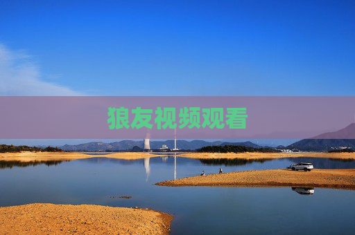 狼友视频观看