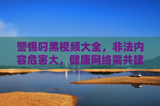 警惕叼黑视频大全，非法内容危害大，健康网络需共建，警惕非法视频危害，共建健康网络