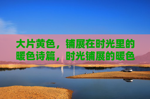 大片黄色，铺展在时光里的暖色诗篇，时光铺展的暖色诗篇