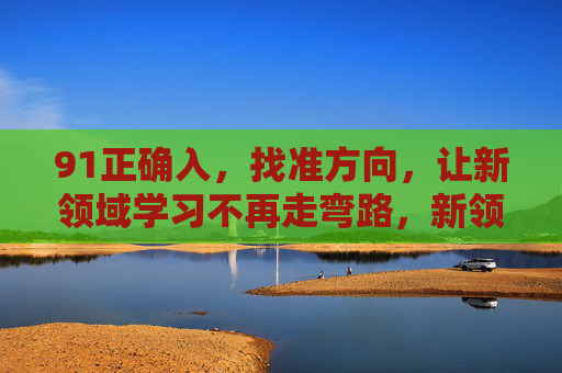 91正确入，找准方向，让新领域学习不再走弯路，新领域学习，找准方向，不再走弯路