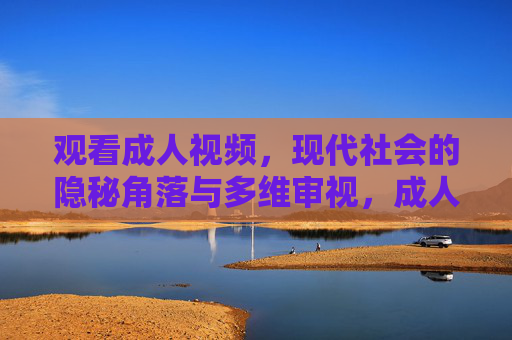 观看成人视频，现代社会的隐秘角落与多维审视，成人视频，现代社会的隐秘镜像与多维审视