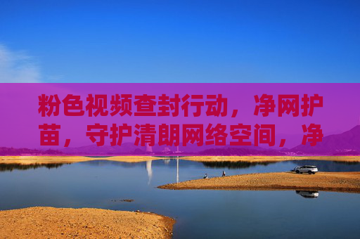 粉色视频查封行动，净网护苗，守护清朗网络空间，净网护苗，粉色视频查封行动守护清朗网络空间