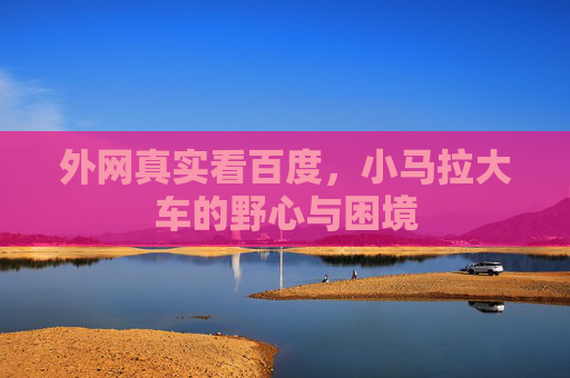 外网真实看百度，小马拉大车的野心与困境