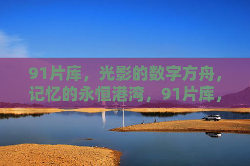 91片库，光影的数字方舟，记忆的永恒港湾，91片库，光影数字方舟，记忆永恒港湾