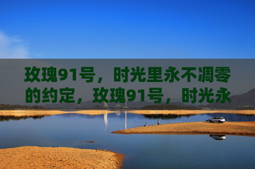 玫瑰91号，时光里永不凋零的约定，玫瑰91号，时光永不凋零的约定