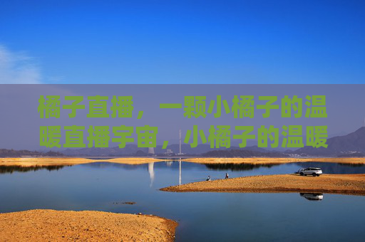 橘子直播，一颗小橘子的温暖直播宇宙，小橘子的温暖直播宇宙