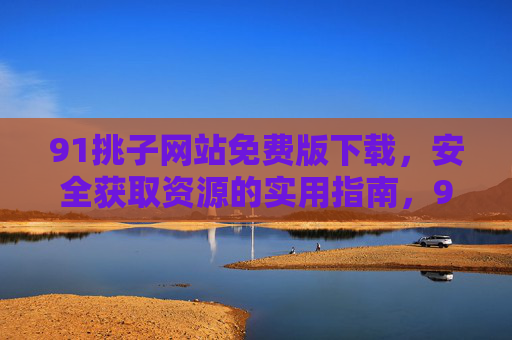 91挑子网站免费版下载，安全获取资源的实用指南，91挑子免费版下载，安全获取资源实用指南