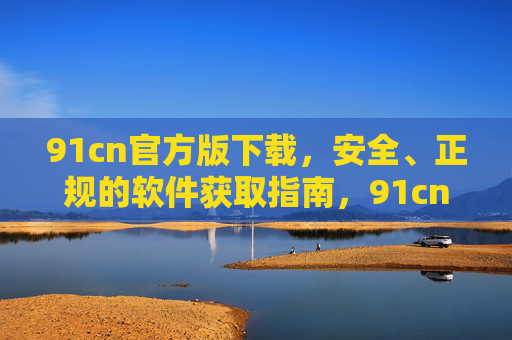 91cn官方版下载，安全、正规的软件获取指南，91cn官方版下载，安全正规的软件获取指南