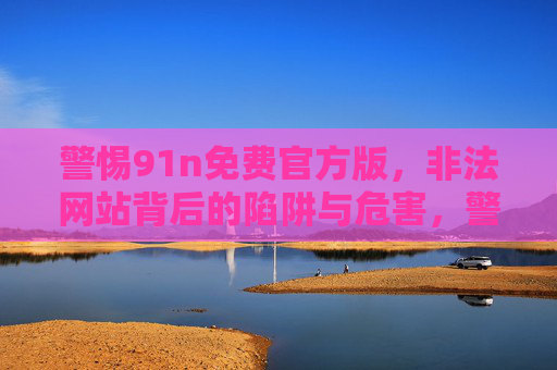 警惕91n免费官方版，非法网站背后的陷阱与危害，警惕91n免费官方版，非法网站的陷阱与危害