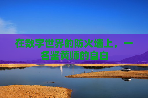 在数字世界的防火墙上，一名鉴黄师的自白