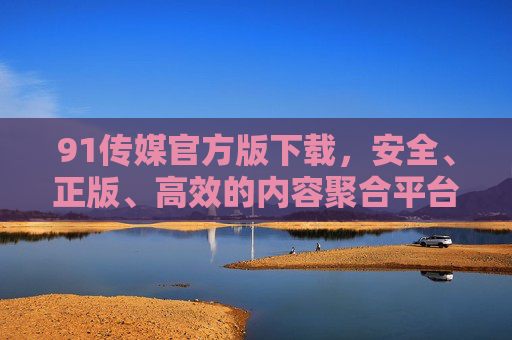 91传媒官方版下载，安全、正版、高效的内容聚合平台指南，91传媒官方版下载，安全正版高效的内容聚合平台指南