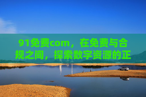91免费com，在免费与合规之间，探索数字资源的正确打开方式，91免费com，在免费与合规间探索数字资源正解