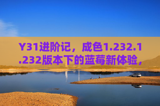 Y31进阶记,成色1.232.1.232版本下的蓝莓新体验,Y31进阶记,1.232.1.232版本蓝莓新体验 Y31进阶记,成色1.232.1.232版本下的蓝莓新体验,Y31进阶记,1.232.1.232版本蓝莓新体验