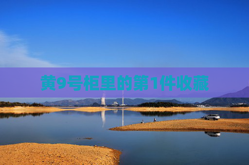 黄9号柜里的第1件收藏 黄9号柜里的第1件收藏
