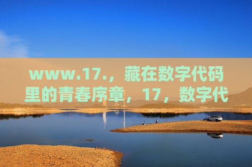 www.17.，藏在数字代码里的青春序章，17，数字代码里的青春序章