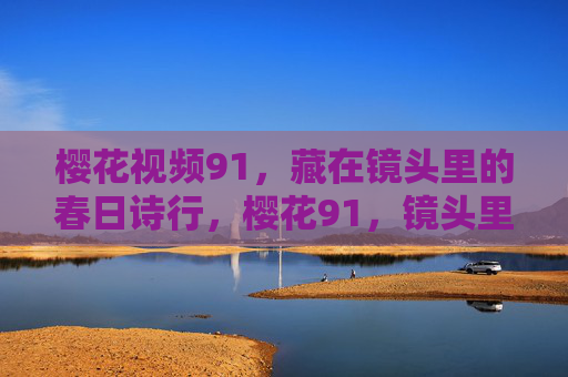 樱花视频91，藏在镜头里的春日诗行，樱花91，镜头里的春日诗行
