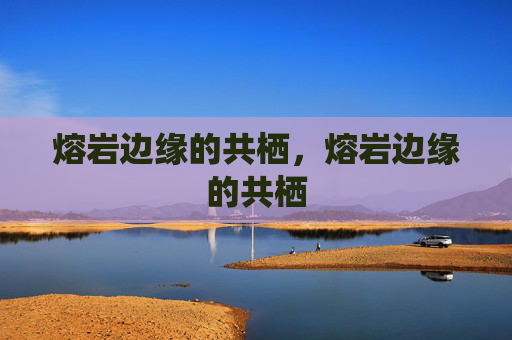 熔岩边缘的共栖，熔岩边缘的共栖