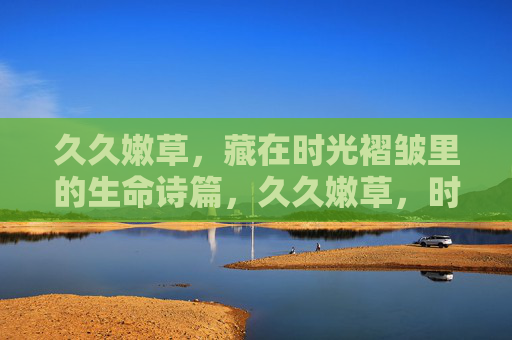 久久嫩草，藏在时光褶皱里的生命诗篇，久久嫩草，时光褶皱里的生命诗篇