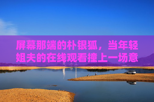 屏幕那端的朴银狐，当年轻姐夫的在线观看撞上一场意外心动，朴银狐与屏幕姐夫，一场意外的心动