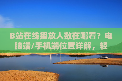B站在线播放人数在哪看？电脑端/手机端位置详解，轻松找到实时热度，B站在线播放人数在哪看？电脑端/手机端位置详解