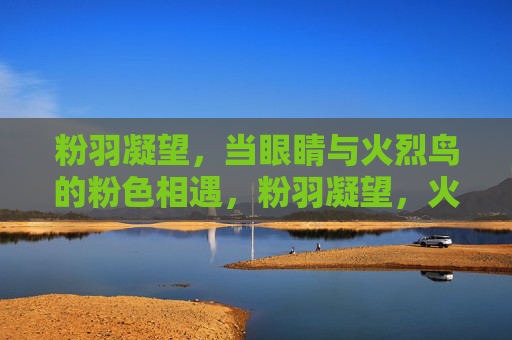 粉羽凝望，当眼睛与火烈鸟的粉色相遇，粉羽凝望，火烈鸟的粉色相遇