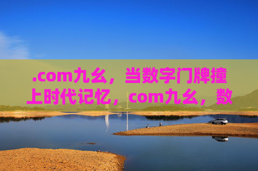 .com九幺，当数字门牌撞上时代记忆，com九幺，数字门牌撞上时代记忆