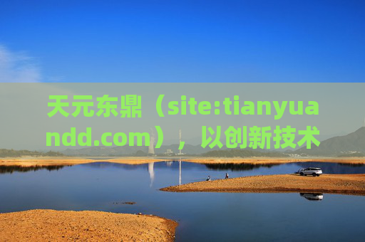 天元东鼎（site:tianyuandd.com），以创新技术驱动行业升级，打造企业服务新标杆，天元东鼎，创新技术驱动行业升级，打造企业服务新标杆
