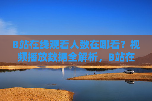 B站在线观看人数在哪看？视频播放数据全解析，B站在线观看人数查看方法与视频播放数据全解析