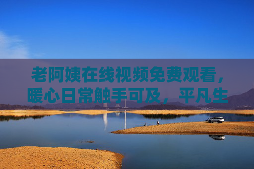 老阿姨在线视频免费观看，暖心日常触手可及，平凡生活里的温暖共鸣，老阿姨暖心日常，平凡生活的温暖共鸣