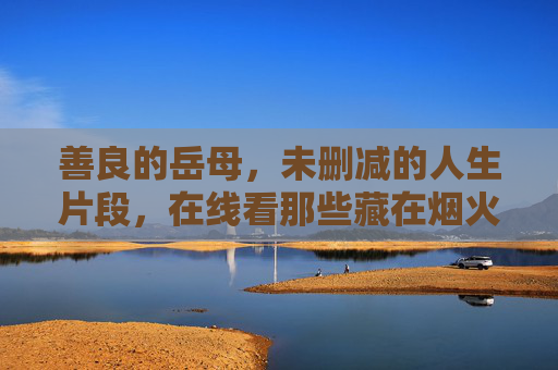 善良的岳母，未删减的人生片段，在线看那些藏在烟火气里的温柔，烟火气里的温柔，岳母未删减的人生片段
