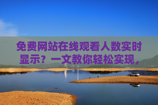 免费网站在线观看人数实时显示？一文教你轻松实现，免费网站在线观看人数实时显示？轻松实现指南