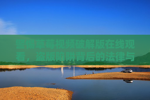 警惕草莓视频破解版在线观看，盗版陷阱背后的法律与安全风险，警惕草莓视频破解版，盗版陷阱的法律与安全风险